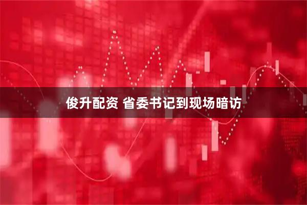 俊升配资 省委书记到现场暗访