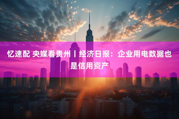 忆速配 央媒看贵州丨经济日报：企业用电数据也是信用资产