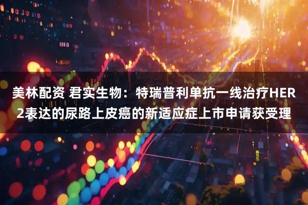 美林配资 君实生物：特瑞普利单抗一线治疗HER2表达的尿路上皮癌的新适应症上市申请获受理